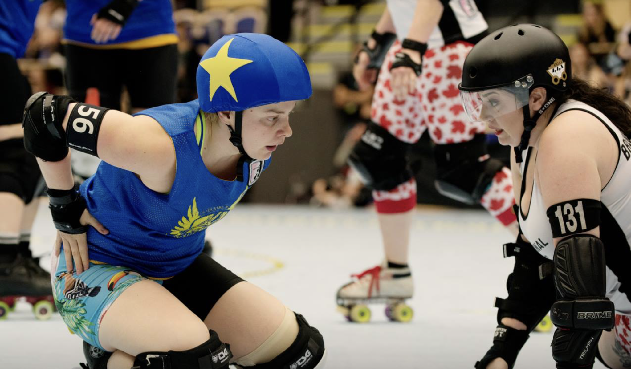 Terminal City Rollergirls graphic